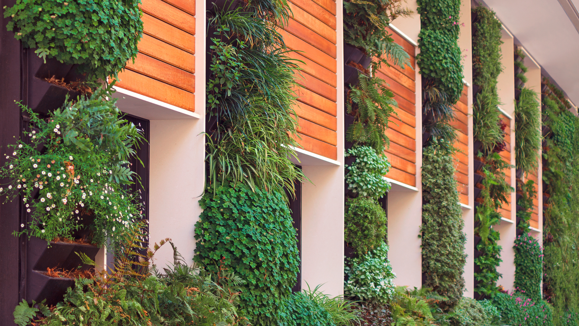 Arquitectura bioclimática