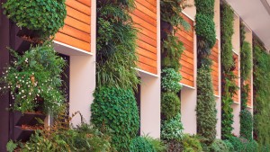 Arquitectura bioclimática